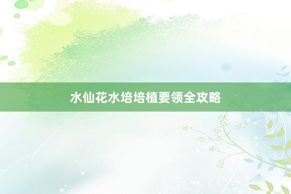 水仙花水培培植要领全攻略